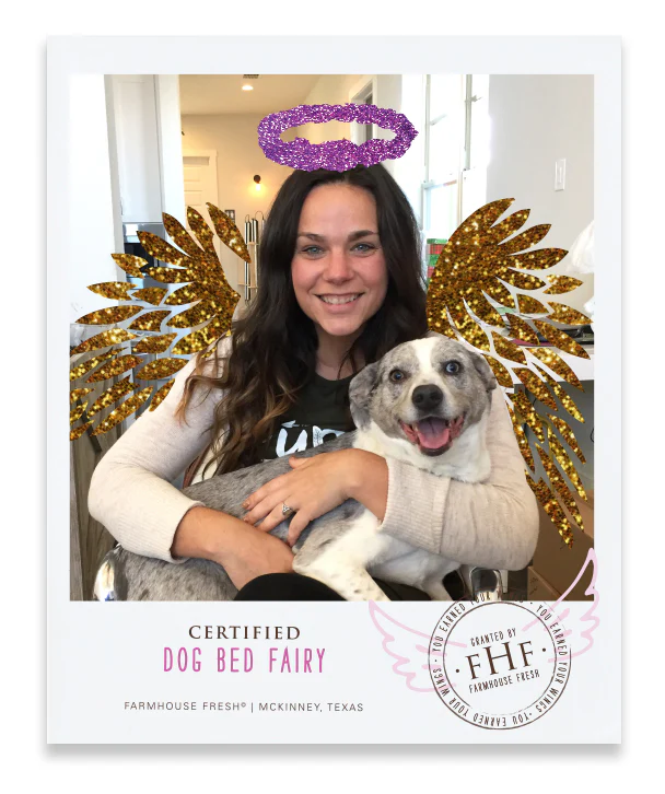 "Is it True, They Call You the Dog Bed Fairy?" - Image 4