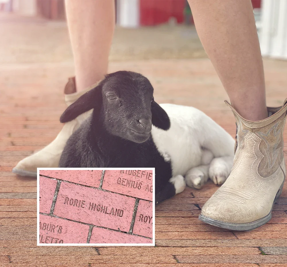 FHF Dedication Brick - Become a Lifesaving Member
