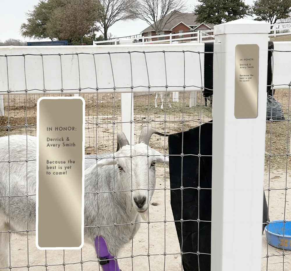 FHF Dedication Fence Post - Become a Lifesaving Member
