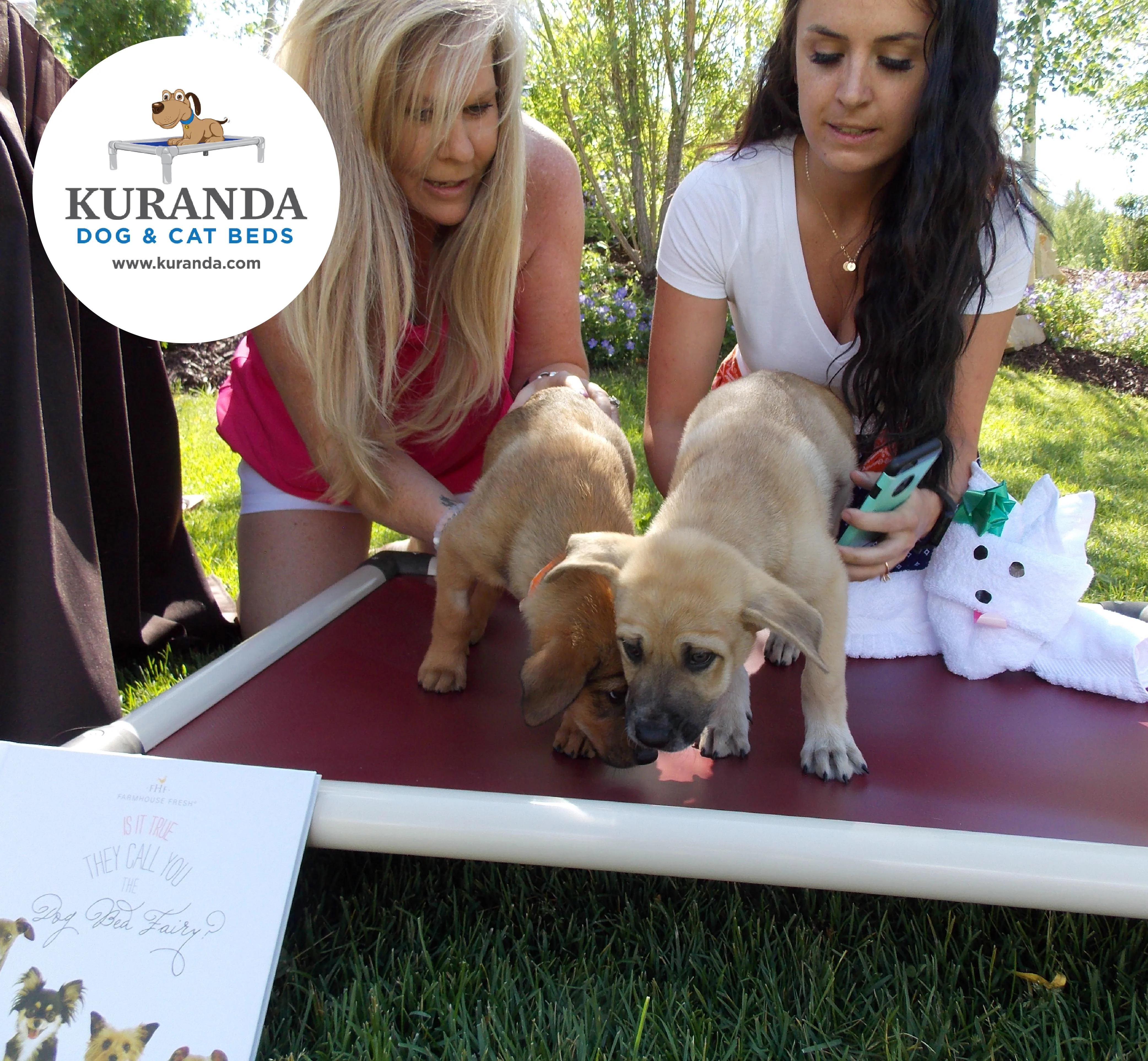 Animal Lovers Gift Set - Image 6
